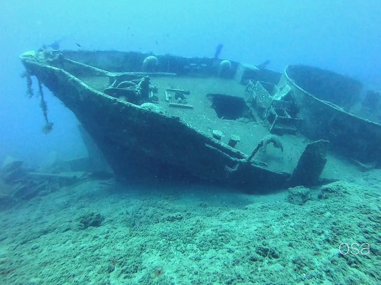 Dalış 4
